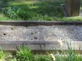 image of grave number 391436